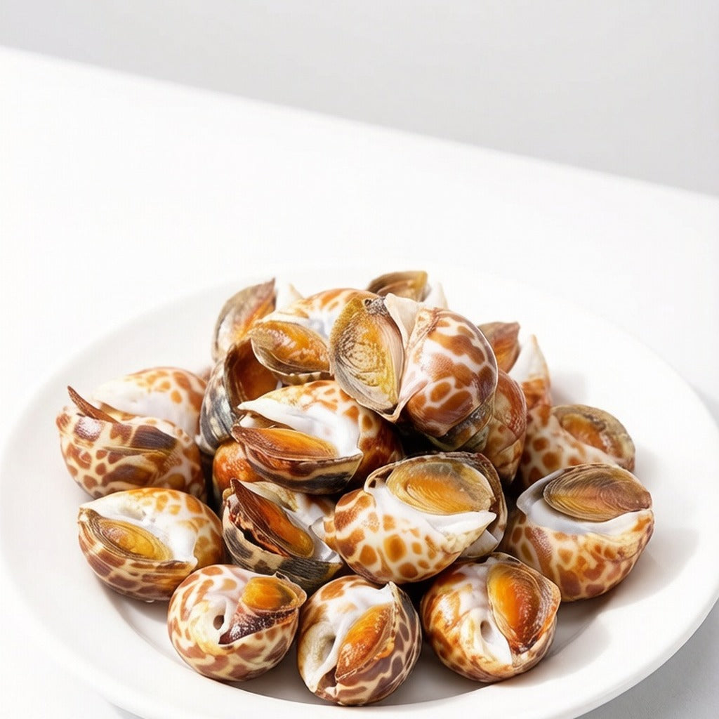 Raw spotted Babylon snails arranged on a plate
